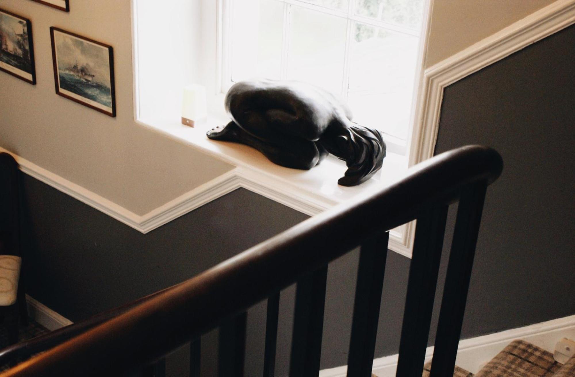 Bed & Breakfast Ranscombe House