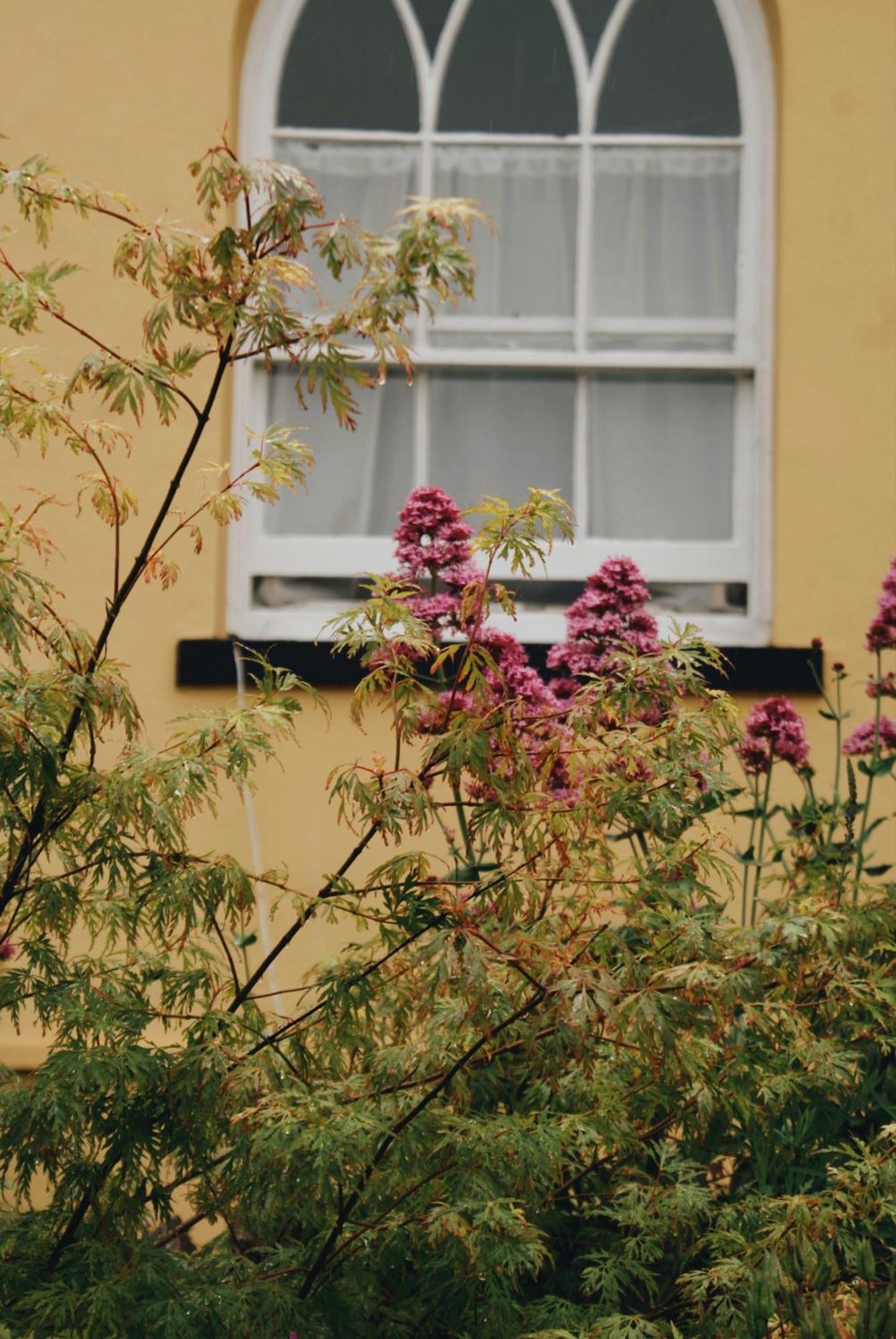 Bed & Breakfast Ranscombe House Brixham